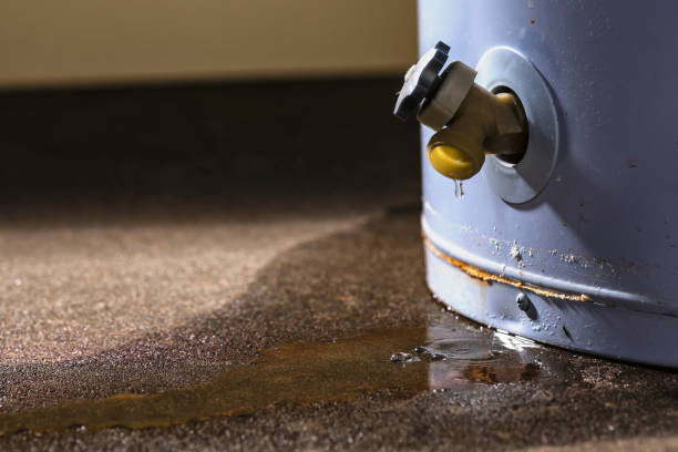 Best Sewage cleanup and water damage restoration  in Fairview Shores, FL