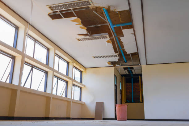 Best Residential water damage restoration  in Fairview Shores, FL