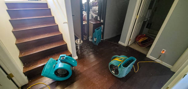 Best Emergency water damage restoration  in Fairview Shores, FL