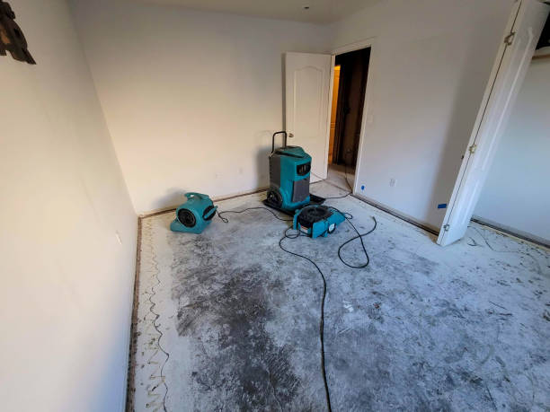 Best Commercial water damage restoration  in Fairview Shores, FL