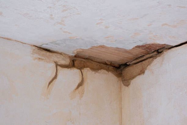 Best 24/7 water damage repair  in Fairview Shores, FL