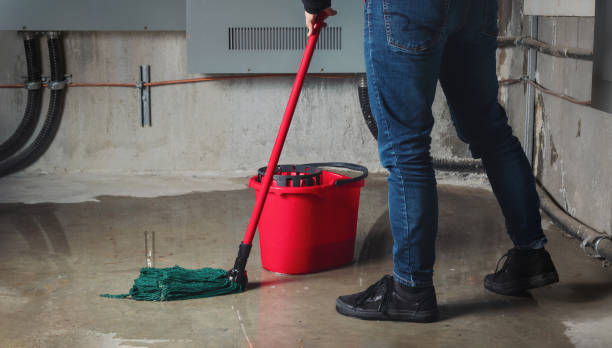 Best Water damage contractors near me  in Fairview Shores, FL