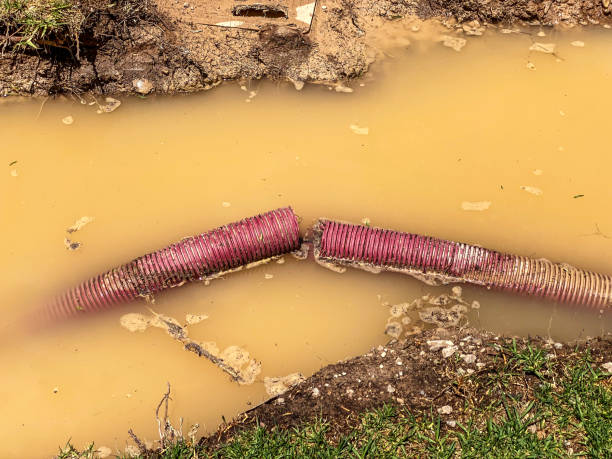 Best Water damage restoration services  in Fairview Shores, FL