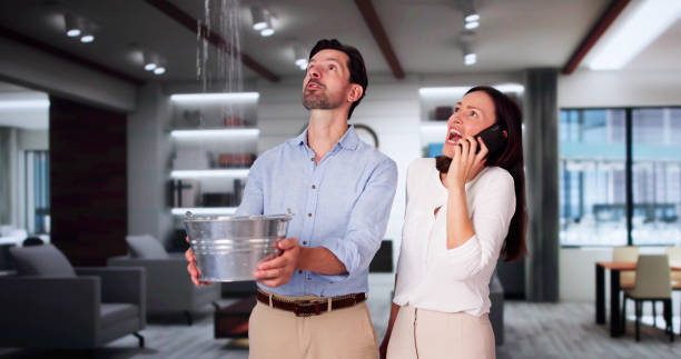 Best Commercial water damage restoration  in Fairview Shores, FL