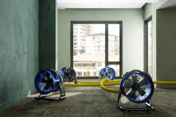 Best Water damage contractors near me  in Fairview Shores, FL